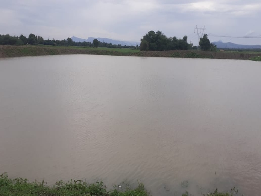 Eget Duis at Tellus Urna.